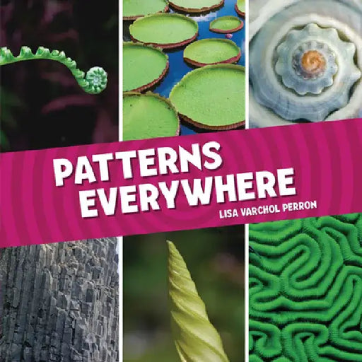 Patterns Everywhere by Lisa Varchol Perron