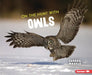 On the Hunt with Owls by Sandra Markle