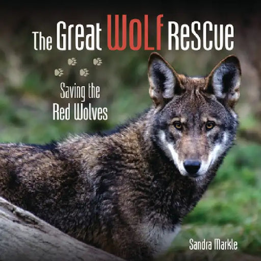 The Great Wolf Rescue: Saving the Red Wolves by Sandra Markle