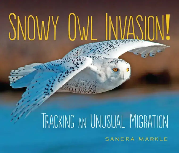 Snowy Owl Invasion!: Tracking an Unusual Migration by Sandra Markle