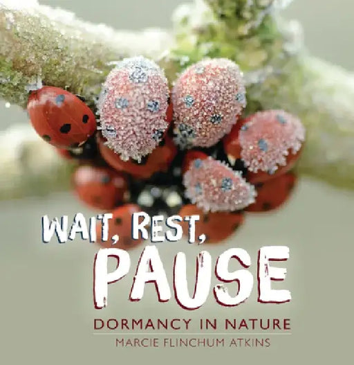 Wait, Rest, Pause: Dormancy in Nature by Marcie Flinchum Atkins
