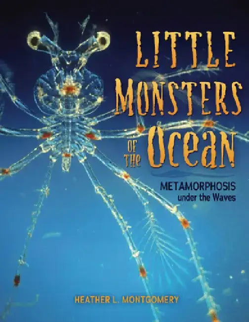 Little Monsters of the Ocean: Metamorphosis Under the Waves by Heather L. Montgomery
