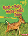Meet a Baby White-Tailed Deer by Tamika M. Murray
