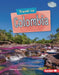 Travel to Colombia by Christine Layton
