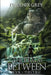 The Realm Between: The Curse: (Book 1) by Matias Trabold