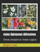 Haies épineuses défensives: Climat tempéré et climat tropical by Lisan, Benjamin