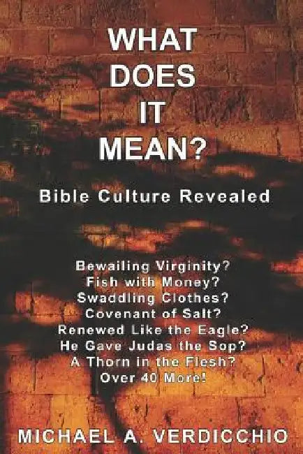 What Does It Mean?: Bible Culture Revealed by Michael A. Verdicchio
