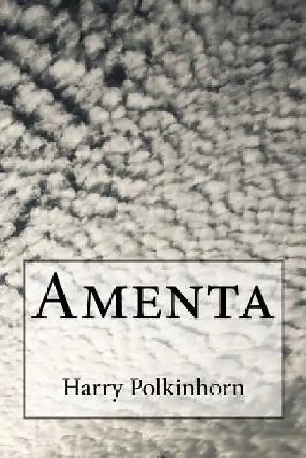 Amenta by Harry Polkinhorn