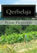 Qerbelaja by Frasheri, Naim