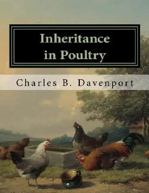 Inheritance in Poultry by Jackson Chambers