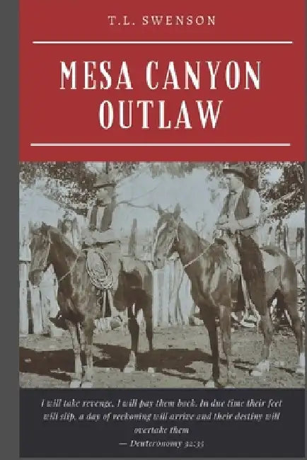 Mesa Canyon Outlaw by T. L. Swenson