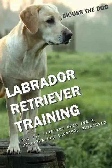 Labrador Retriever Training: All the Tips You Need for a Well-Trained Labrador Retriever by Mouss The Dog