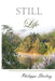 Still Life by Philippa Stirling