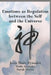 Emotions as Regulation Between the Self and the Universe by Tania Agurksy