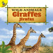 Giraffes: Jirafas by Barry Cole