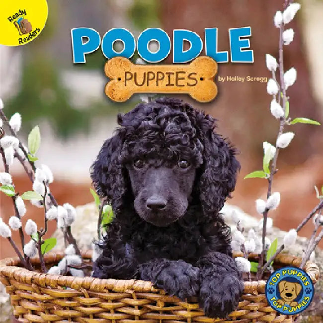 Poodle Puppies by Hailey Scragg