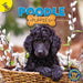 Poodle Puppies by Hailey Scragg