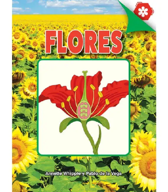 Flores: Flowers by Annette Whipple