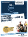 Supervisor (Structures-Group C) (Iron Work) by National Learning Corporation