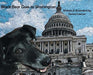 Black Bear Goes to Washington by Denise a. Lawson, Denise a. Lawson