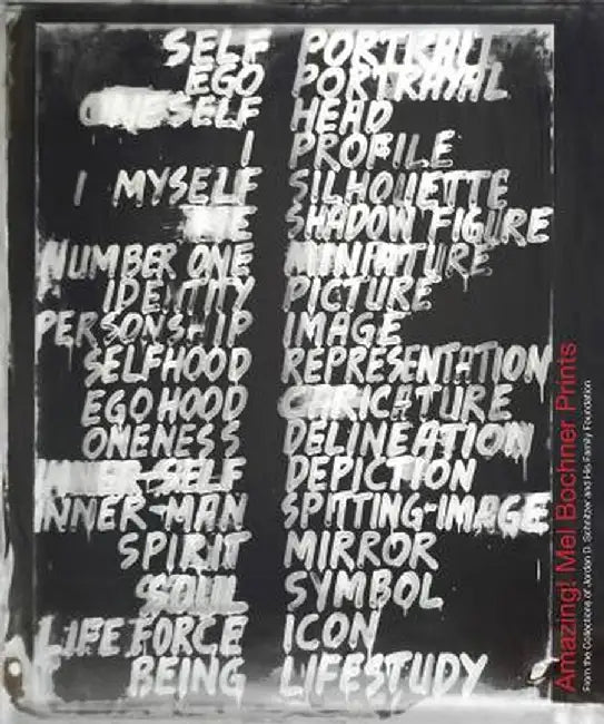 Amazing! Mel Bochner Prints by Mel Bochner