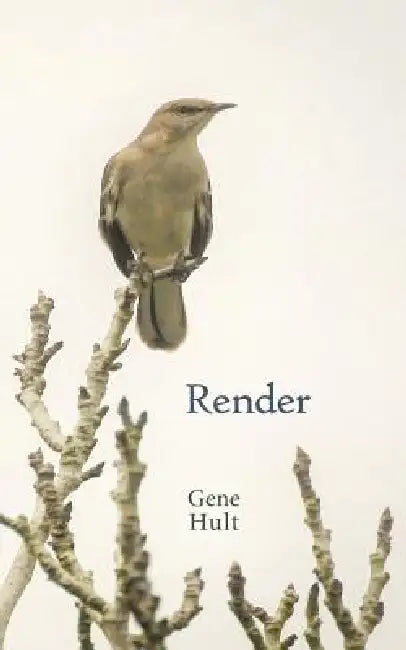 Render by Gene Hult