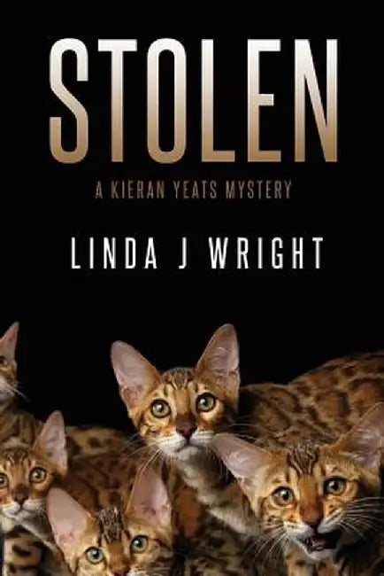 Stolen: A Kieran Yeats Mystery by Linda J. Wright