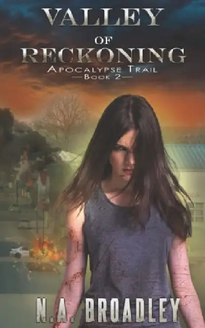 Valley of Reckoning by N. a. Broadley