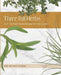 Three Fall Herbs: Over 100 Plant-Based Recipes for Herb Lovers by Gail Herndon Huskins