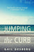 Jumping The Curb: One family's journey through a catastrophic injury by Gail Desberg