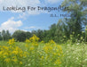 Looking for Dragonflies by S. L. Hollister