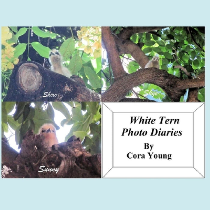 White Tern Photo Diaries by Cora Young