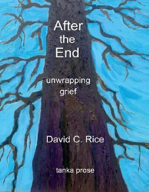 After the End: Unwrapping Grief by David Rice