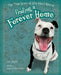 Finding a Forever Home: The True Story of Ellie Bleu's Rescue by Janis Hegle
