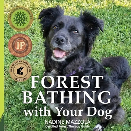 Forest Bathing with your Dog by Nadine Mazzola