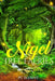 Nigel and the Tree Faeries by Pc Elliott
