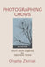 Photographing Crows by Charlie Zwinak