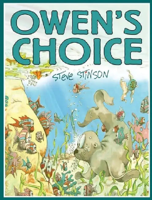Owen's Choice by Steve Stinson
