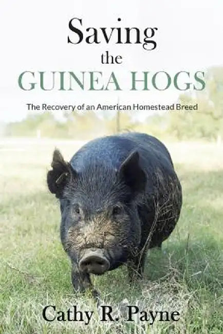 Saving the Guinea Hogs: The Recovery of an American Homestead Breed by Cathy R. Payne