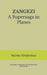 ZANGEZI A Supersaga in Planes: translated, introduced, and annotated by Chris Sawyer by Chris Sawyer, Velimir Khlebnikov