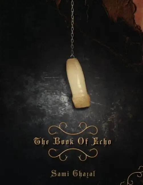 The Book of Echo by Sami Ghazal