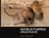 Nature As It Happens African Wildlife: Vol. 2: Big Cats by Johan J. Botha