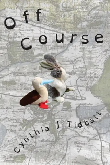 Off Course by Cynthia J. Tidball