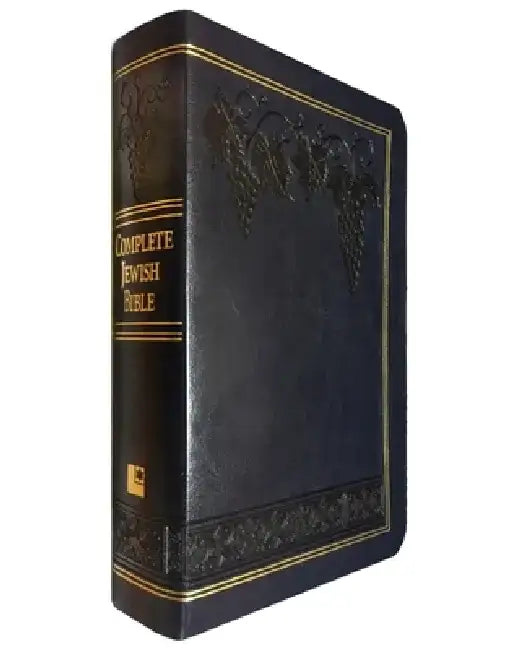 Complete Jewish Bible: An English Version by David H. Stern - Giant Print by David H. Stern