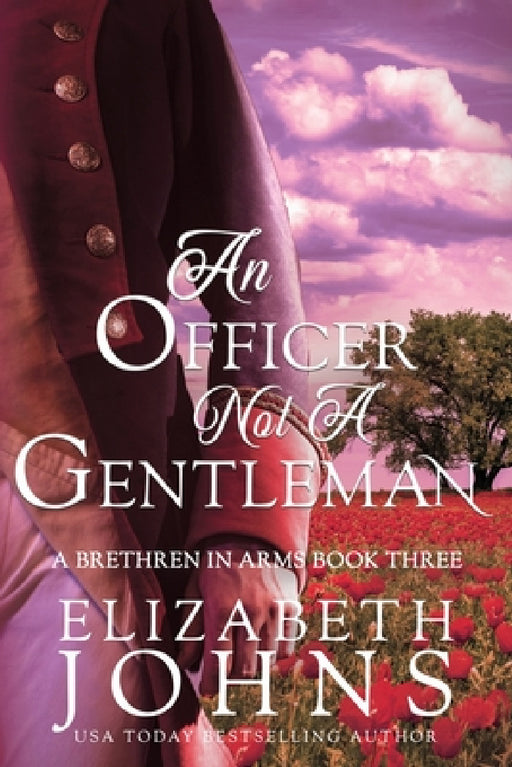 An Officer, Not A Gentleman by Elizabeth Johns