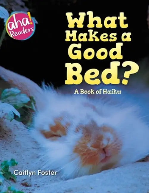 What Makes a Good Bed?: A book of Haiku by Caitlyn Foster