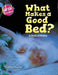 What Makes a Good Bed?: A book of Haiku by Caitlyn Foster