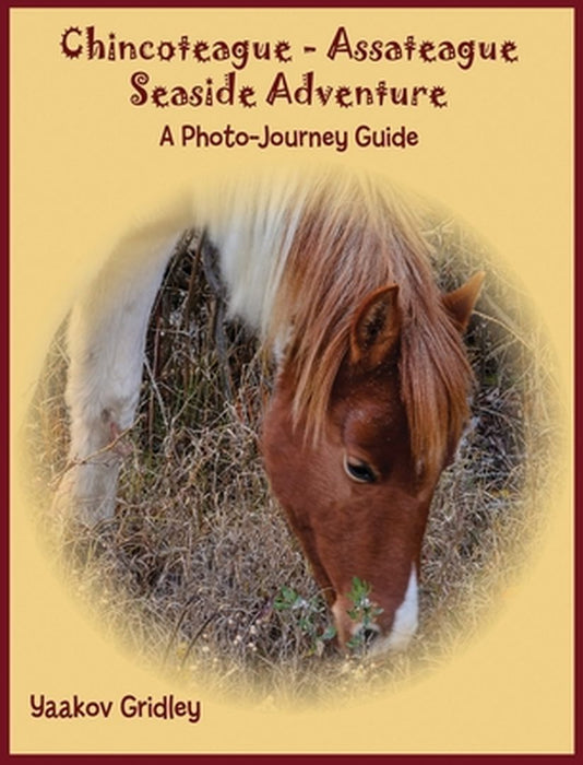 Chincoteague-Assateague Seaside Adventure: A Photo-Journey Guide by Yaakov Gridley