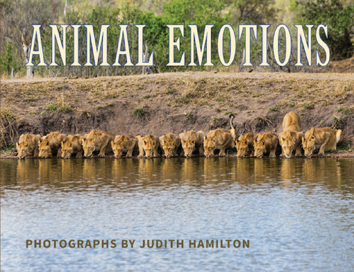 Animal Emotions by Judith Hamilton