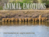 Animal Emotions by Judith Hamilton